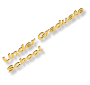 Under Graduate  School